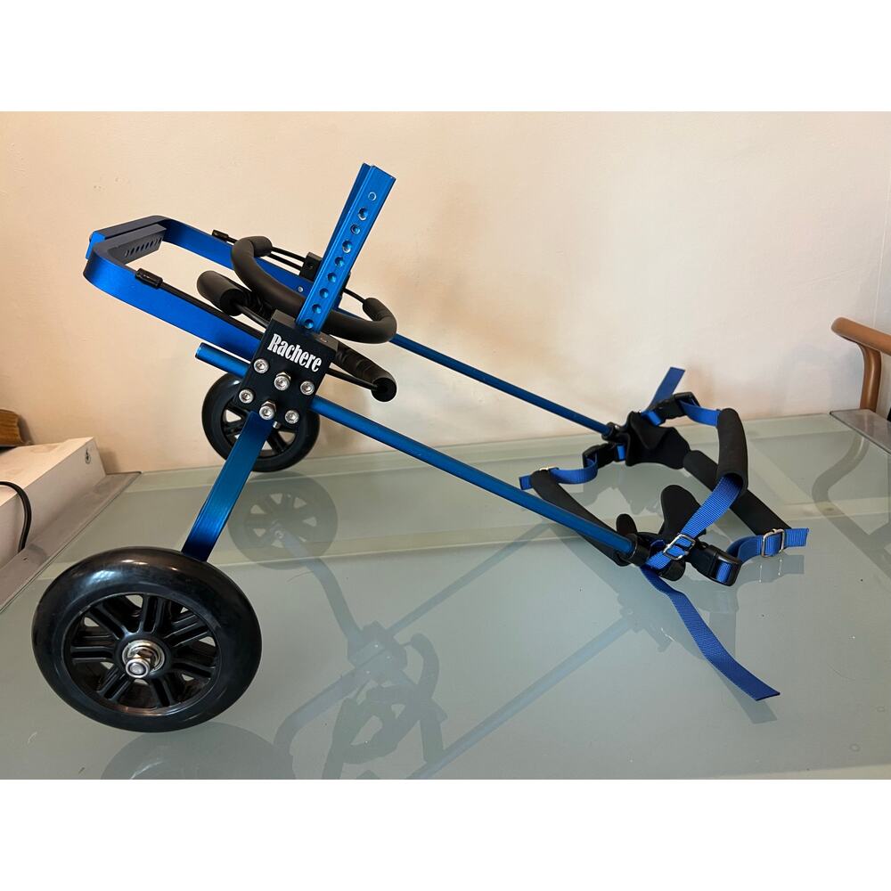 rachere small dog rear back leg wheelchair wheels mobility aid Adjustable